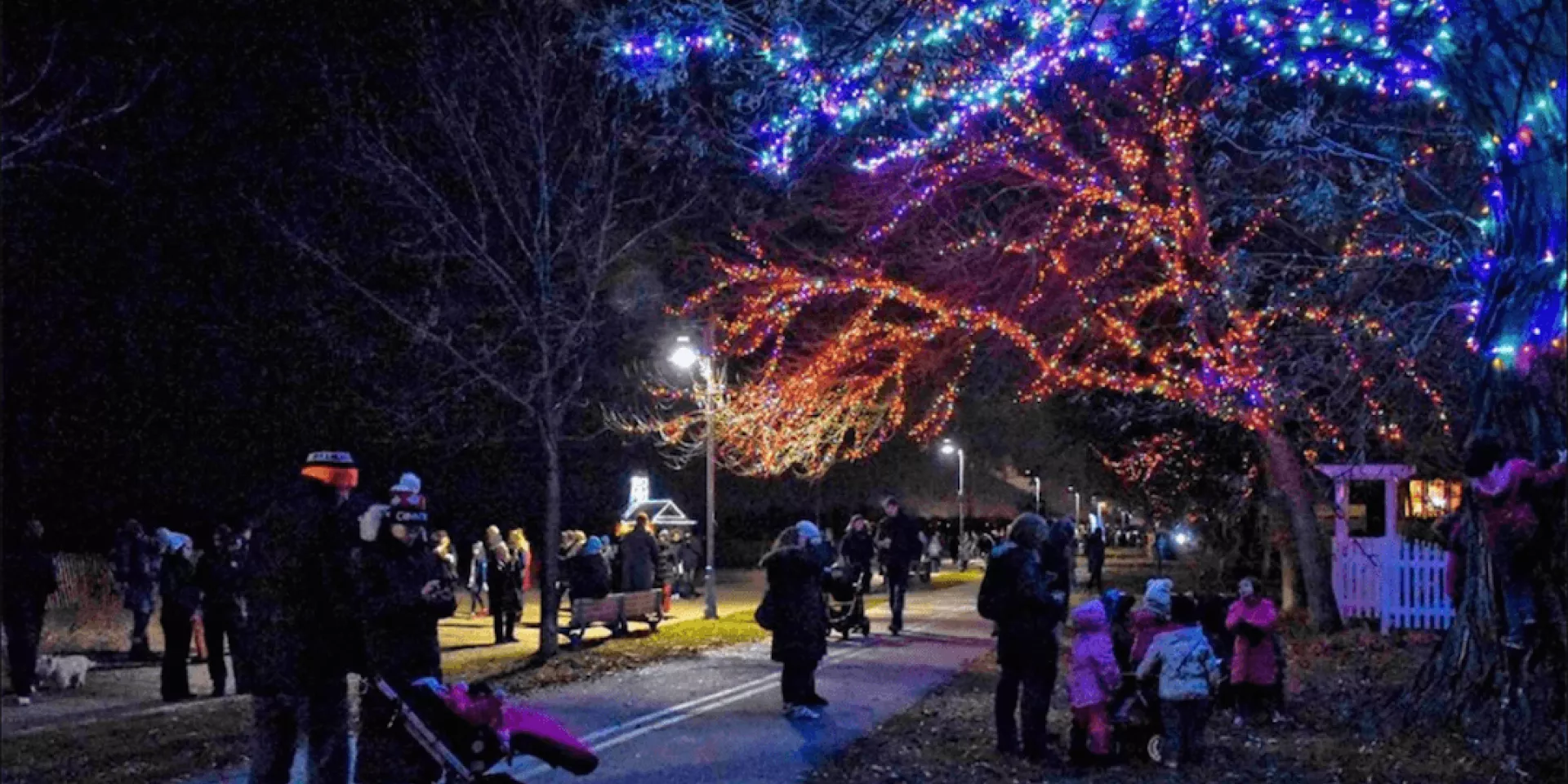 Light up the Beach  Light up the Beach